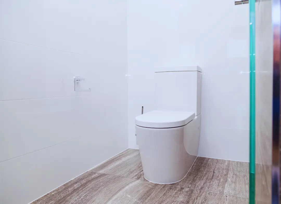 Remplacement de wc Azay-sur-Cher